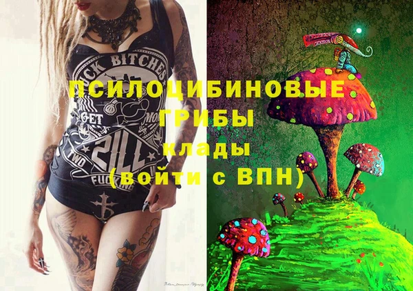 тгк Аркадак