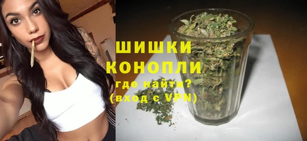 ГАЛЛЮЦИНОГЕННЫЕ ГРИБЫ Арсеньев