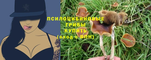 тгк Аркадак
