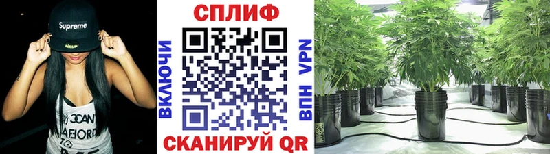 Шишки марихуана Ganja  купить   Серафимович 